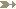 ͨ